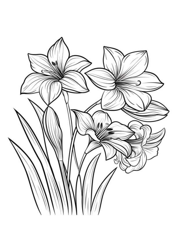 liliomok1