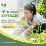 zold-domb