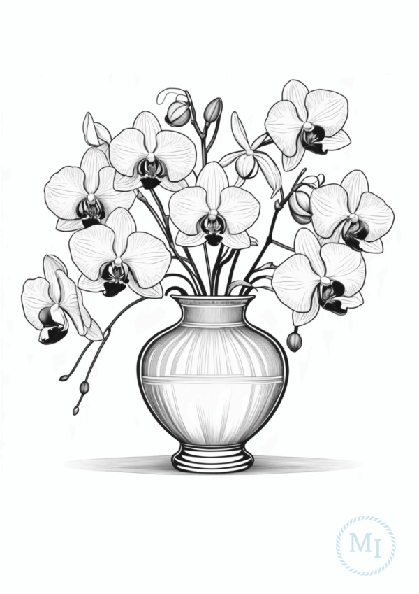 ingyenes-szinezo-orchidea